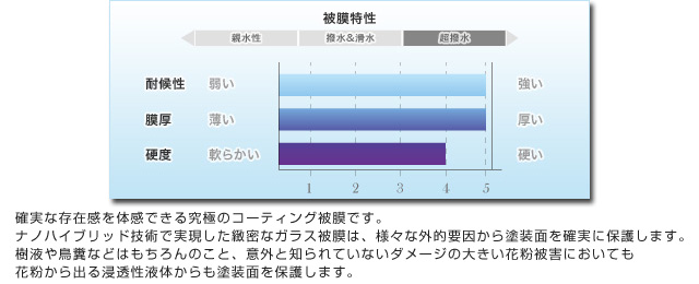 被膜特性