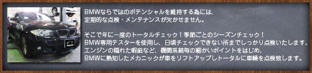 BMW点検